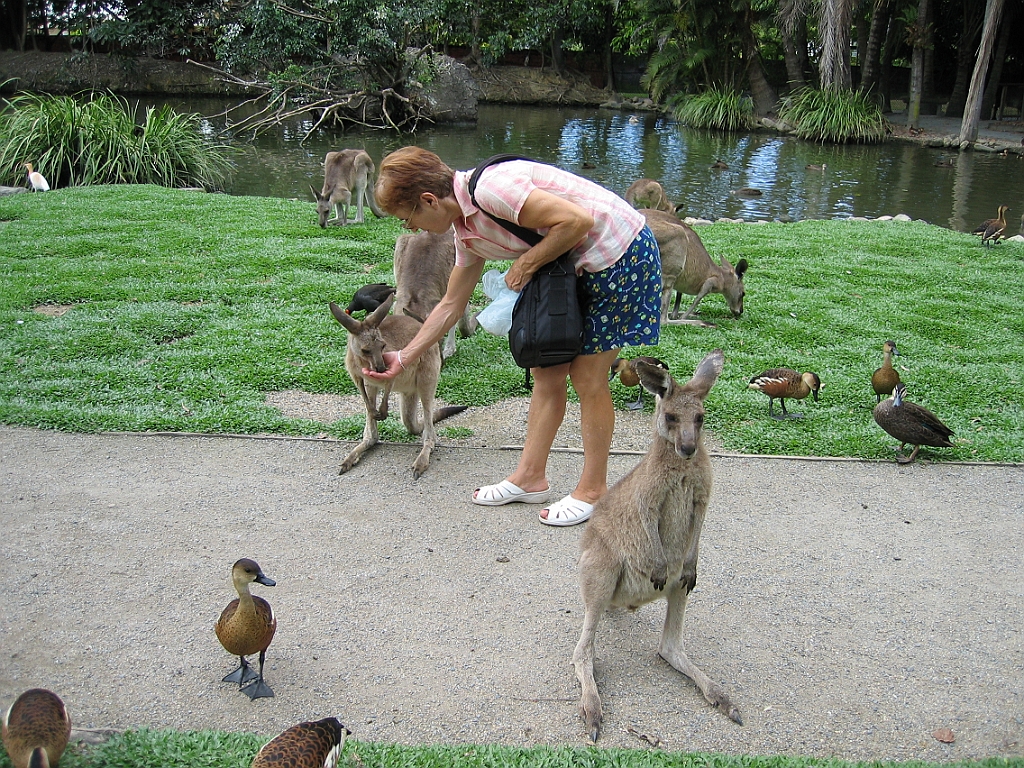 108 Port Douglas Wildlife Habitat.jpg